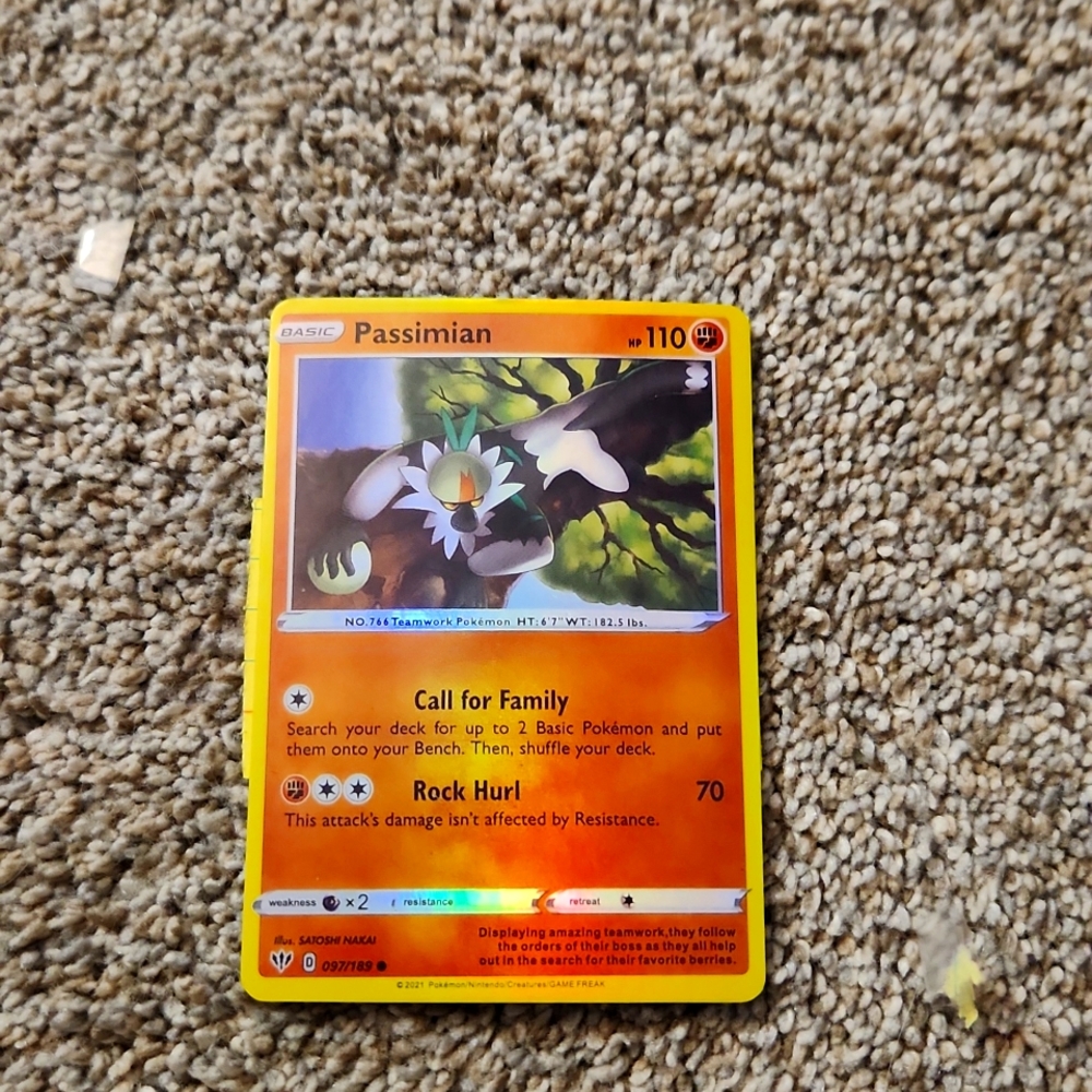 Basic passimian